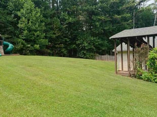 Davon W.'s grass maintenance service result