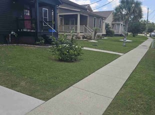David P.'s grass cutting service result