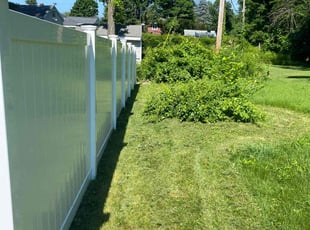 Krystal B.'s grass maintenance service result