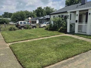 Dennis P.'s turf maintenance service result