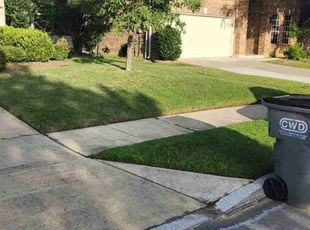 Dan D.'s lawn service service result