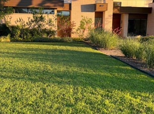 Mr. B.'s turf care service result
