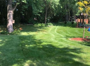 John M.'s grass cutting service result