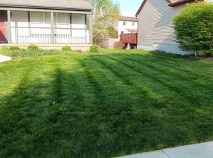 Julie N.'s lawn care services service result