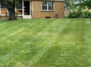 Angelo B.'s turf maintenance service result