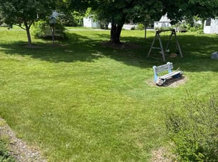 Fredricka C.'s grass maintenance service result