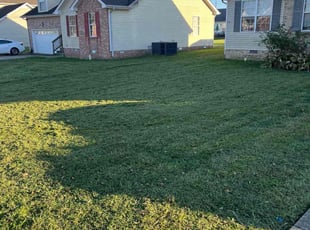 Yihoiki E.'s lawn care services service result