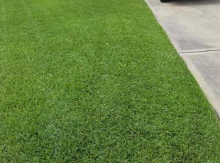 Kathleen M.'s lawn care service result