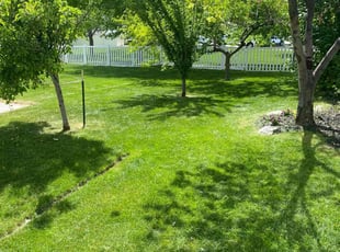 Joe M.'s turf care service result