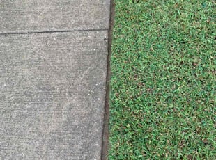 Tamara T.'s grass cutting service result