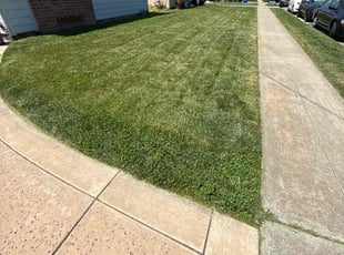 Ernesto F.'s lawn care services service result