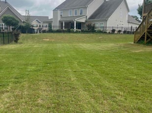 Bryan C.'s grass cutting service result