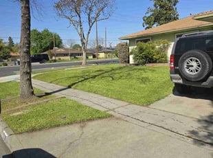Cherokee B.'s grass maintenance service result