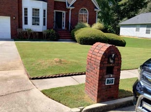 Shellise C.'s lawn care service result