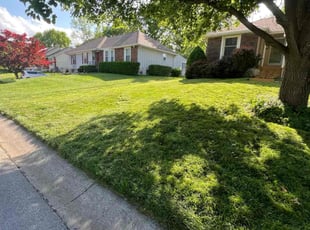 Michael W.'s lawn service service result