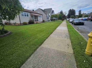 Thomas W.'s lawn care service result