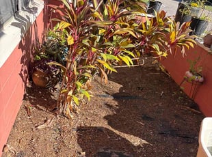 Charles D.'s Flower Bed Weeding service result