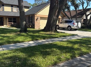 Josephine V.'s landscaping services service result
