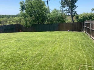 Kayla L.'s grass maintenance service result
