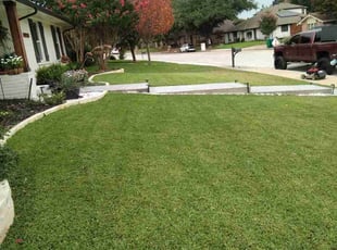Sandy R.'s lawn care service result