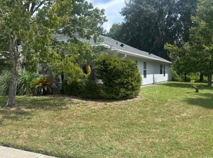 Janice B.'s lawn maintenance service result