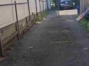 Rebecca F.'s Bush Trimming service result