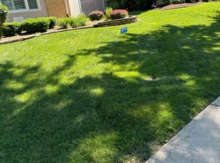 Shawn G.'s turf maintenance service result