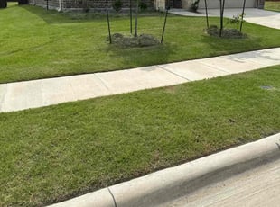 Barbara A.'s grass maintenance service result