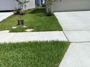Annette F.'s lawn maintenance service result