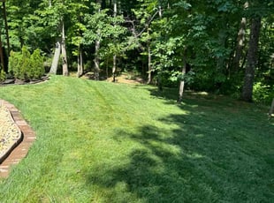Katherine B.'s lawn care service result