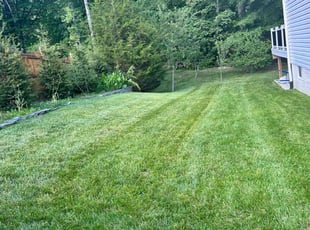 Cathy L.'s grass cutting service result