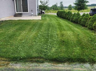 Don W.'s lawn maintenance service result