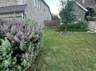 Cynthia W.'s turf care service result