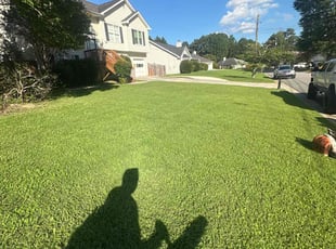 John M.'s grass maintenance service result