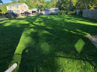 Deborah B.'s turf care service result