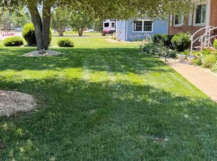George P.'s lawn care services service result