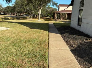 Sean L.'s lawn maintenance service result