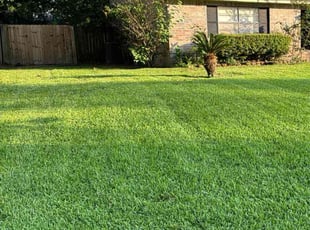 James J.'s gardening service service result