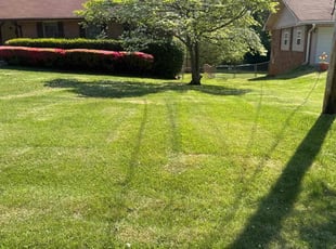 Shan L.'s lawn maintenance service result