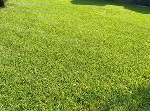 Norma L.'s lawn care services service result