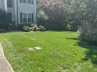 Jodi B.'s lawn service service result