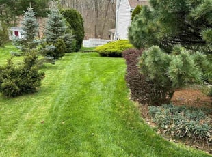 Aaron R.'s lawn care services service result