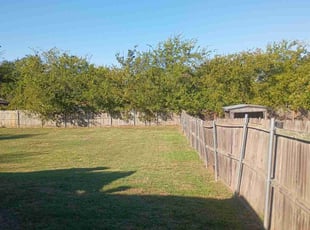 Rudy L.'s lawn care service result