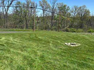 Ralph l.'s lawn service service result