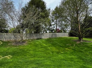 Mary O.'s yard maintenance service result