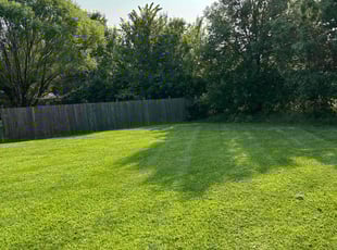 Scott M.'s turf care service result