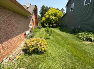Kenneth D.'s yard care service result