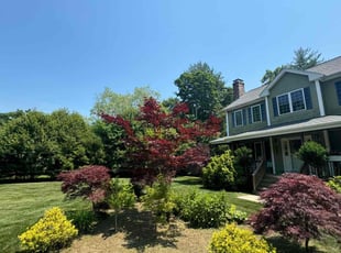 Francis T.'s Flower Bed Weeding service result