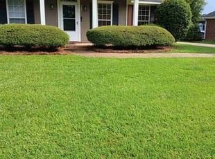 Wynonna W.'s grass maintenance service result