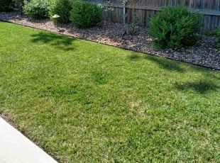 Krystal S.'s residential landscaping service result
